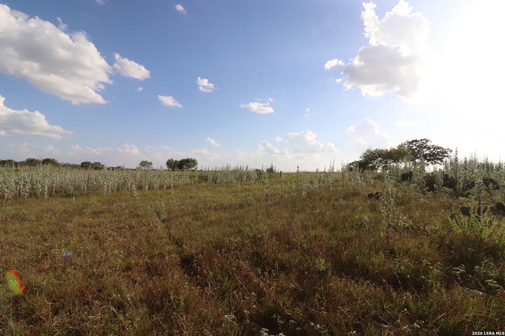 36 acres in Wilson County - photo 10