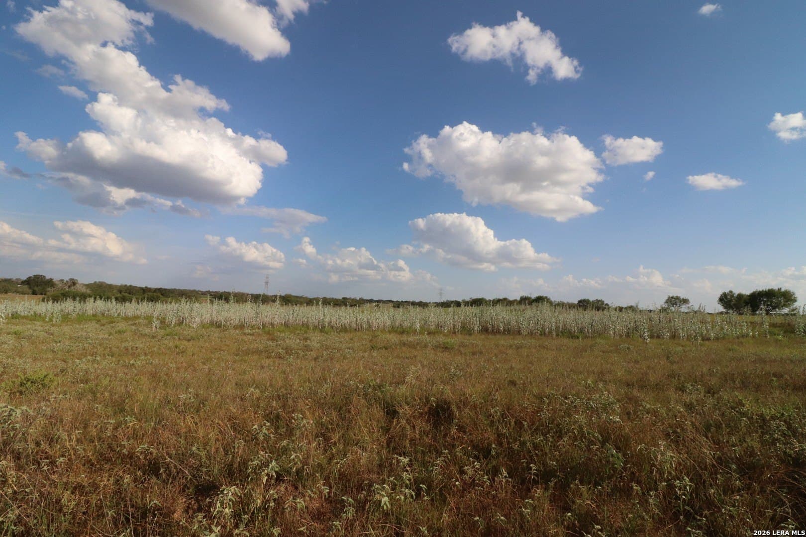 36 acres in Wilson County - photo 7