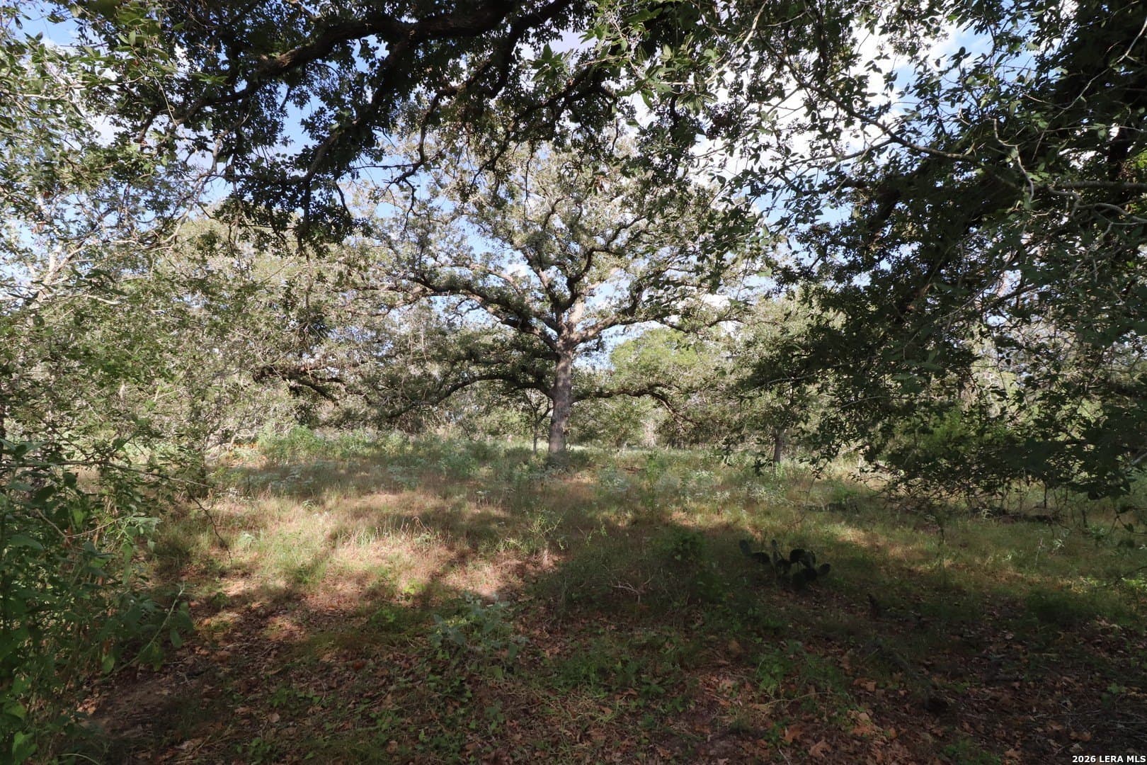 36 acres in Wilson County - photo 23