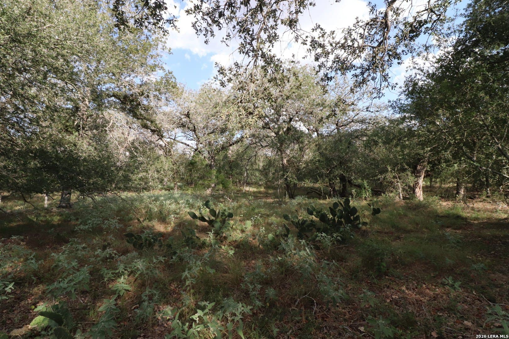 36 acres in Wilson County - photo 20