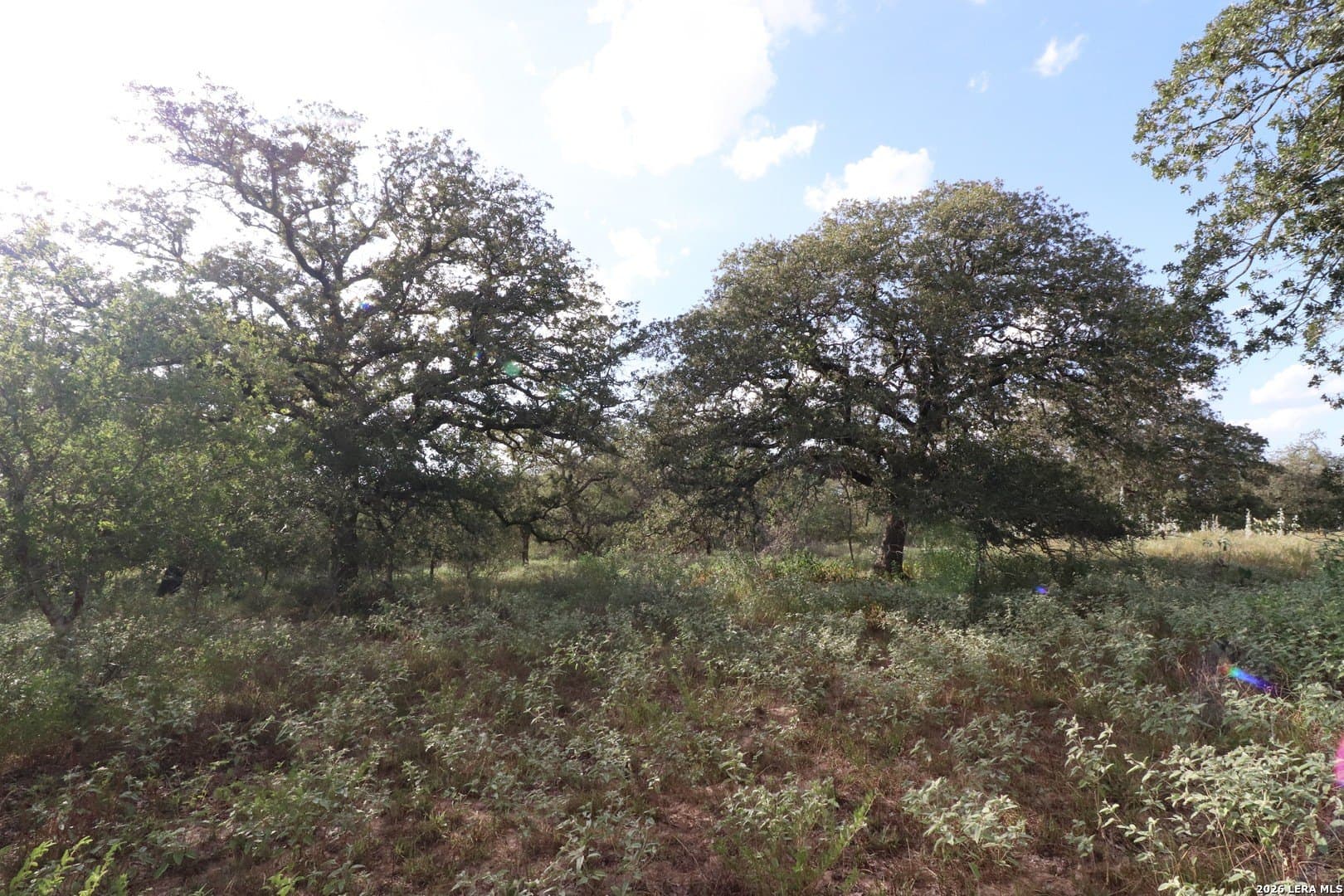36 acres in Wilson County - photo 24