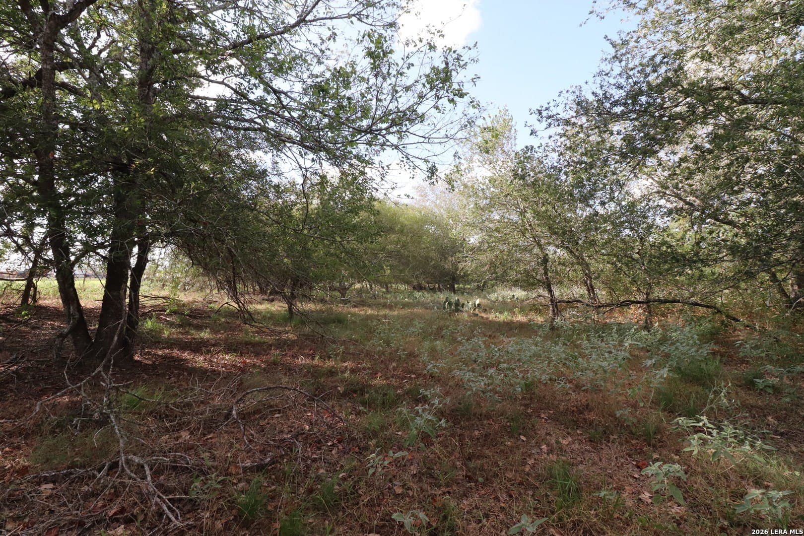 36 acres in Wilson County - photo 21