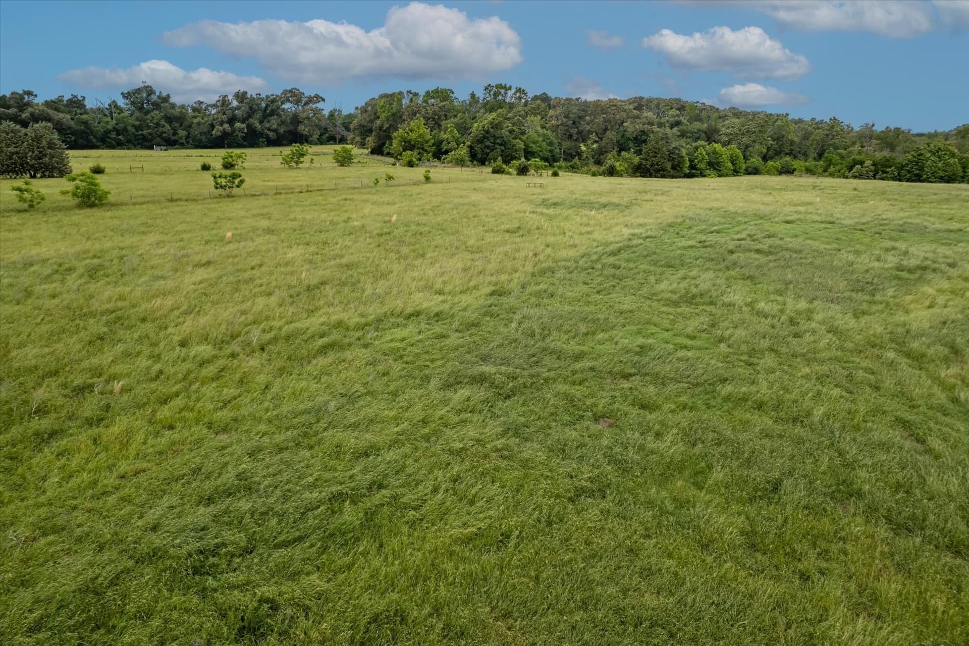 19.29 acres in Van Zandt County - photo 8