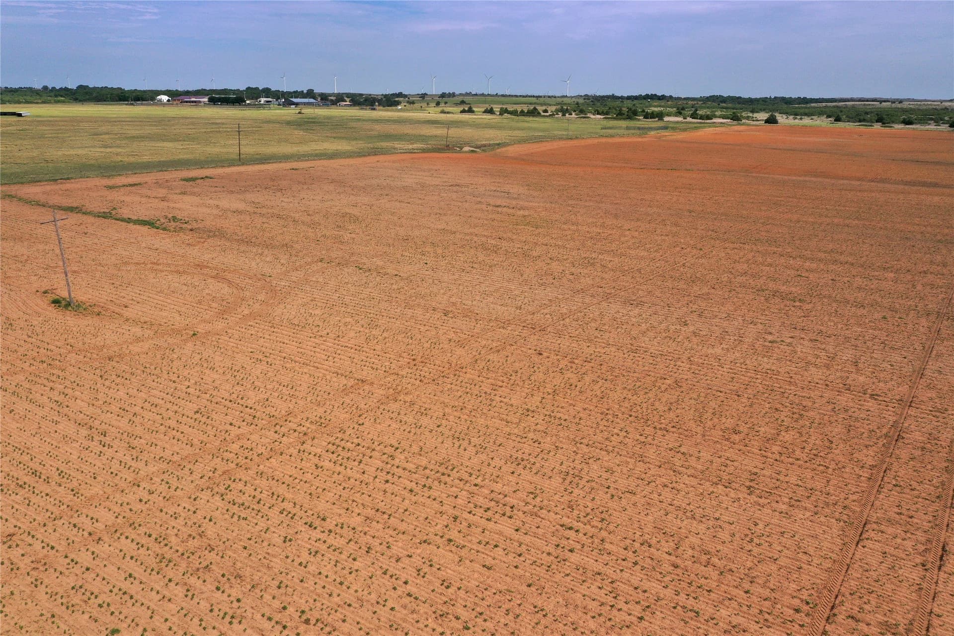 150 acres in Wilbarger County - photo 19