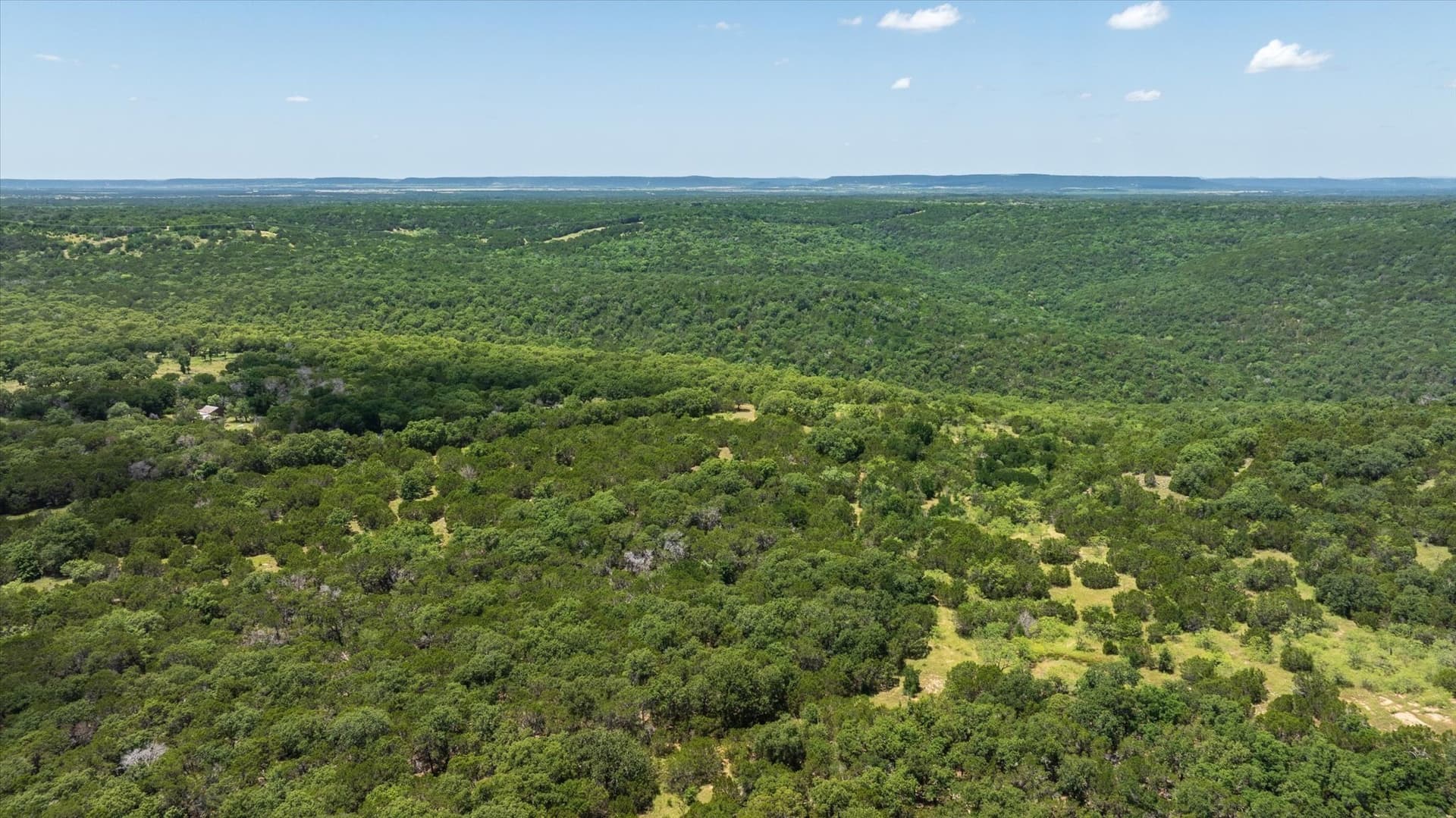 523.5 acres in Palo Pinto County gallery image 4