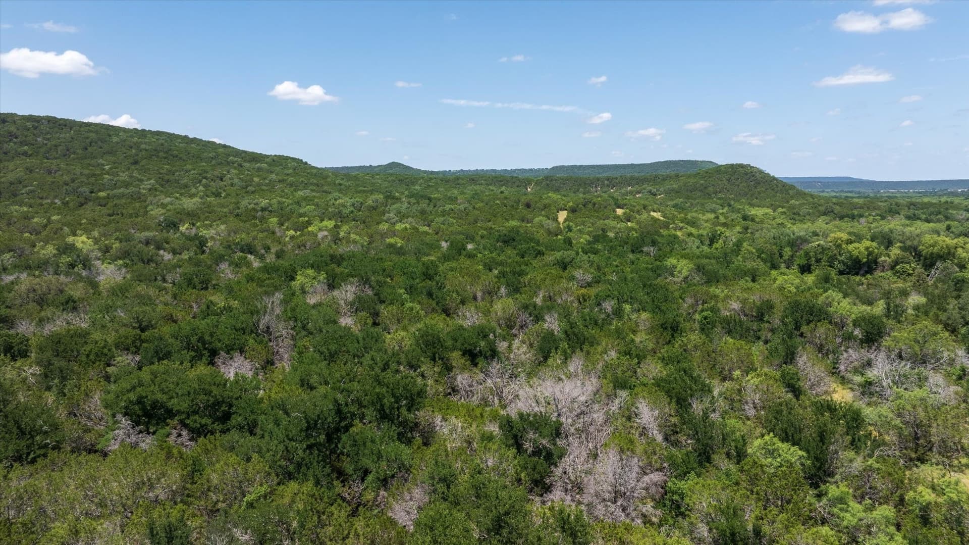523.5 acres in Palo Pinto County - photo 31