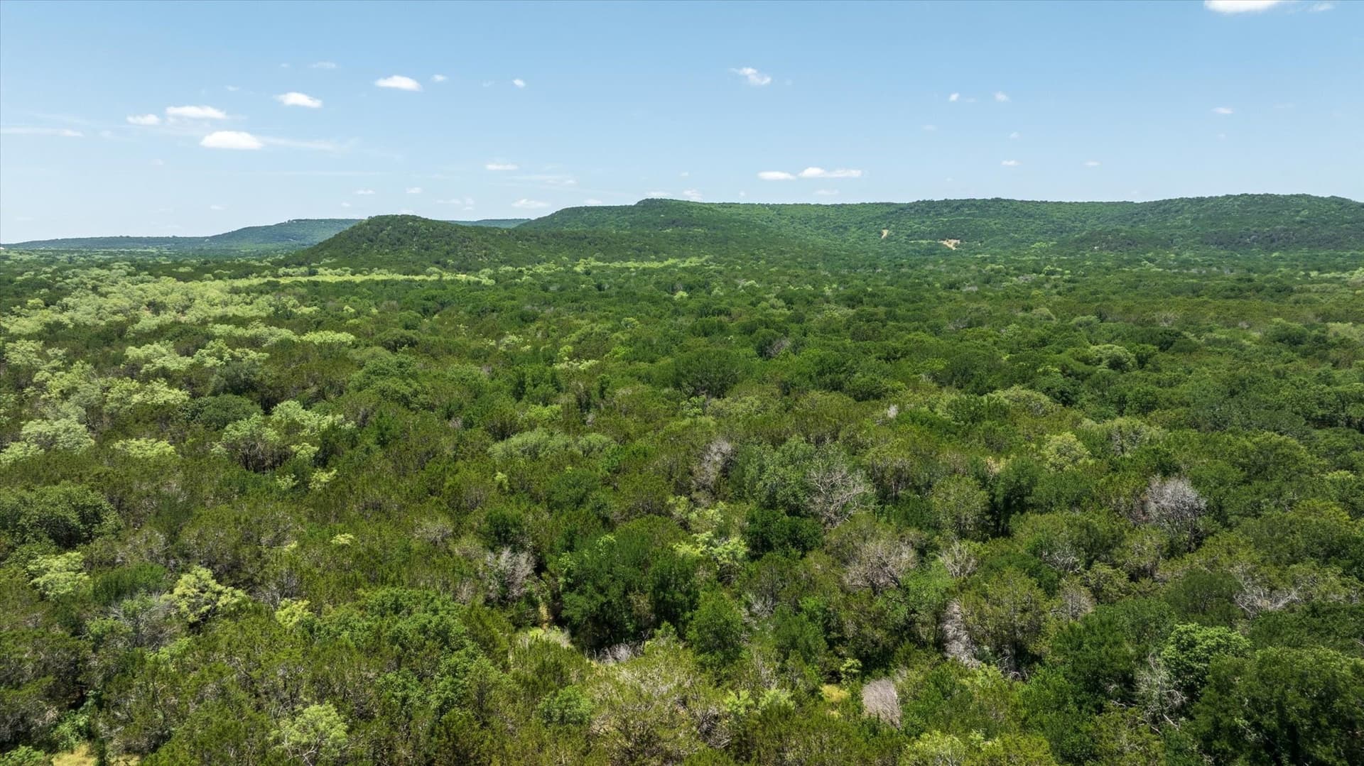 523.5 acres in Palo Pinto County - photo 14