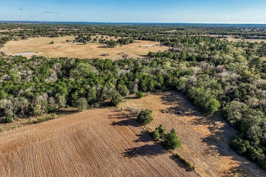 205 acres in Fayette County gallery image 2