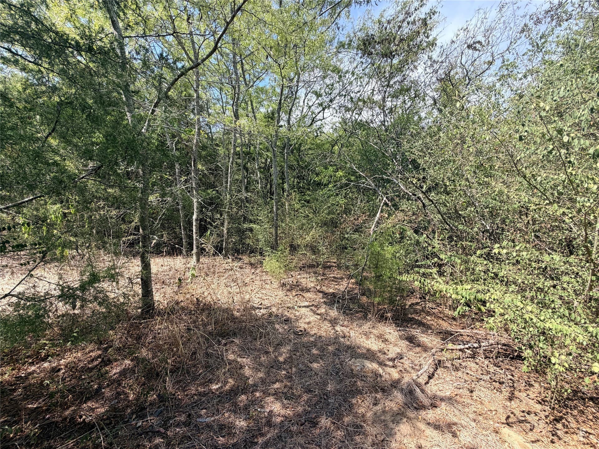 2.58 acres in Van Zandt County - photo 3