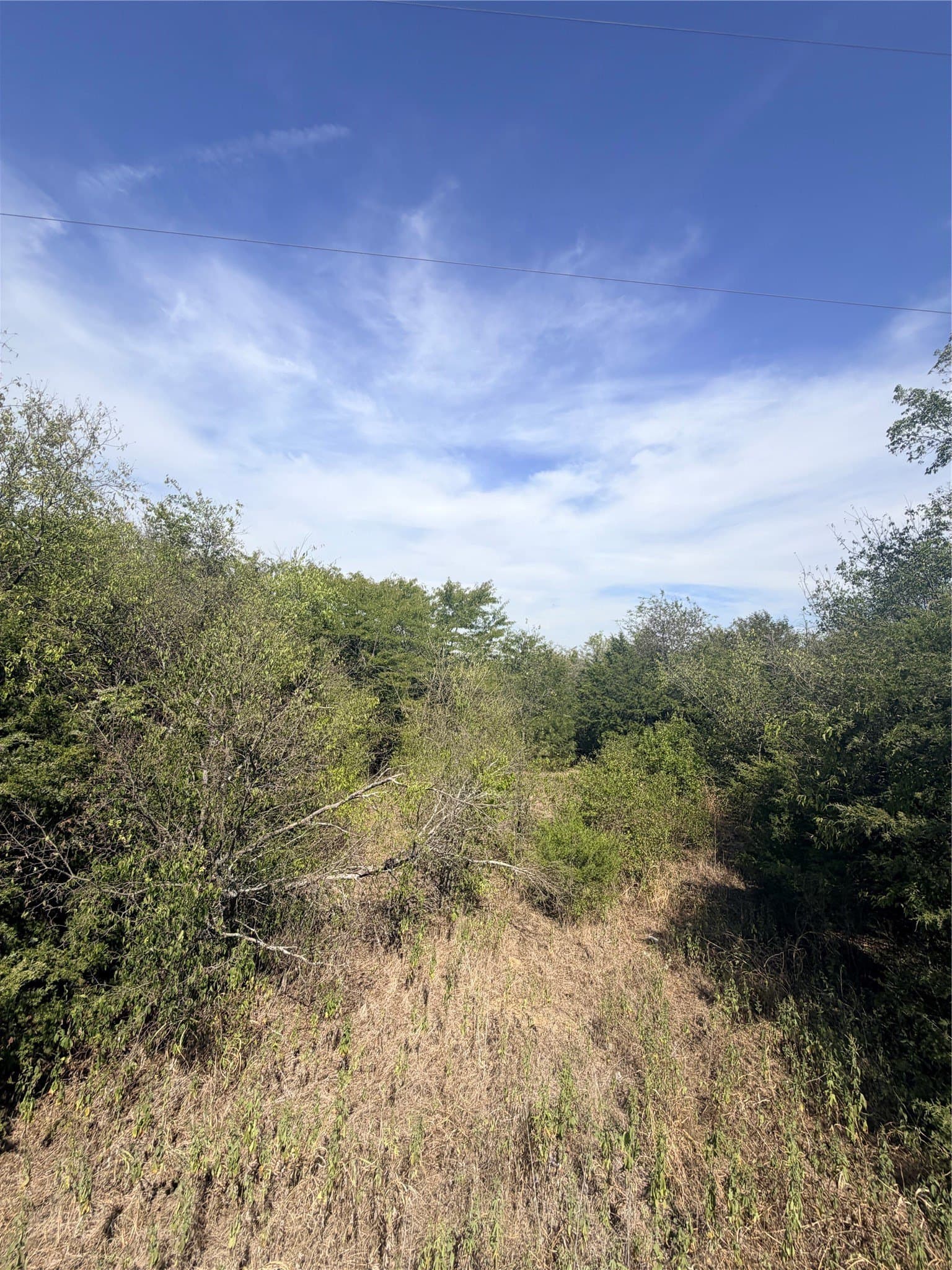 2.58 acres in Van Zandt County - photo 4