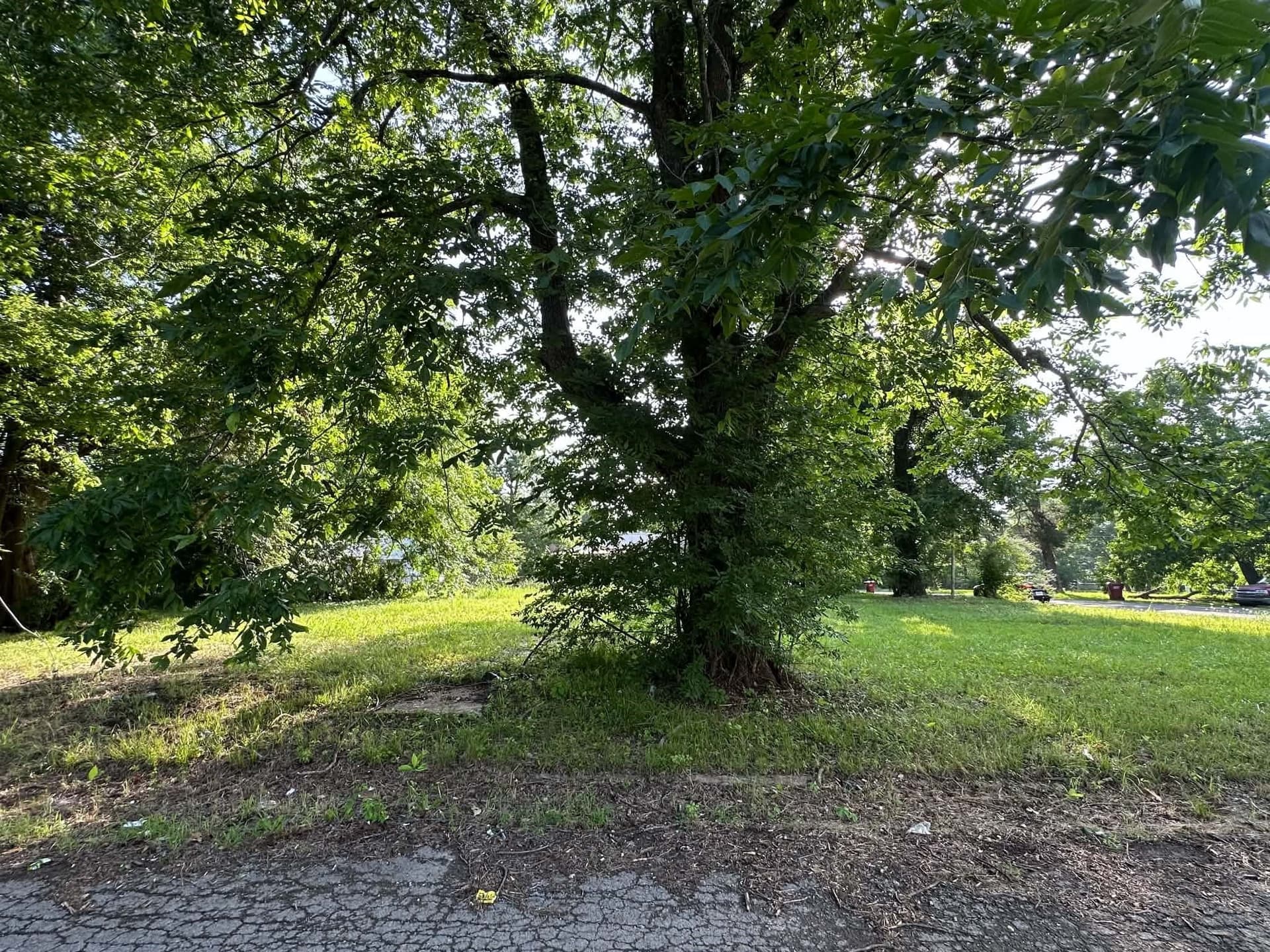 0.23 acres in Red River (TX) County featured view