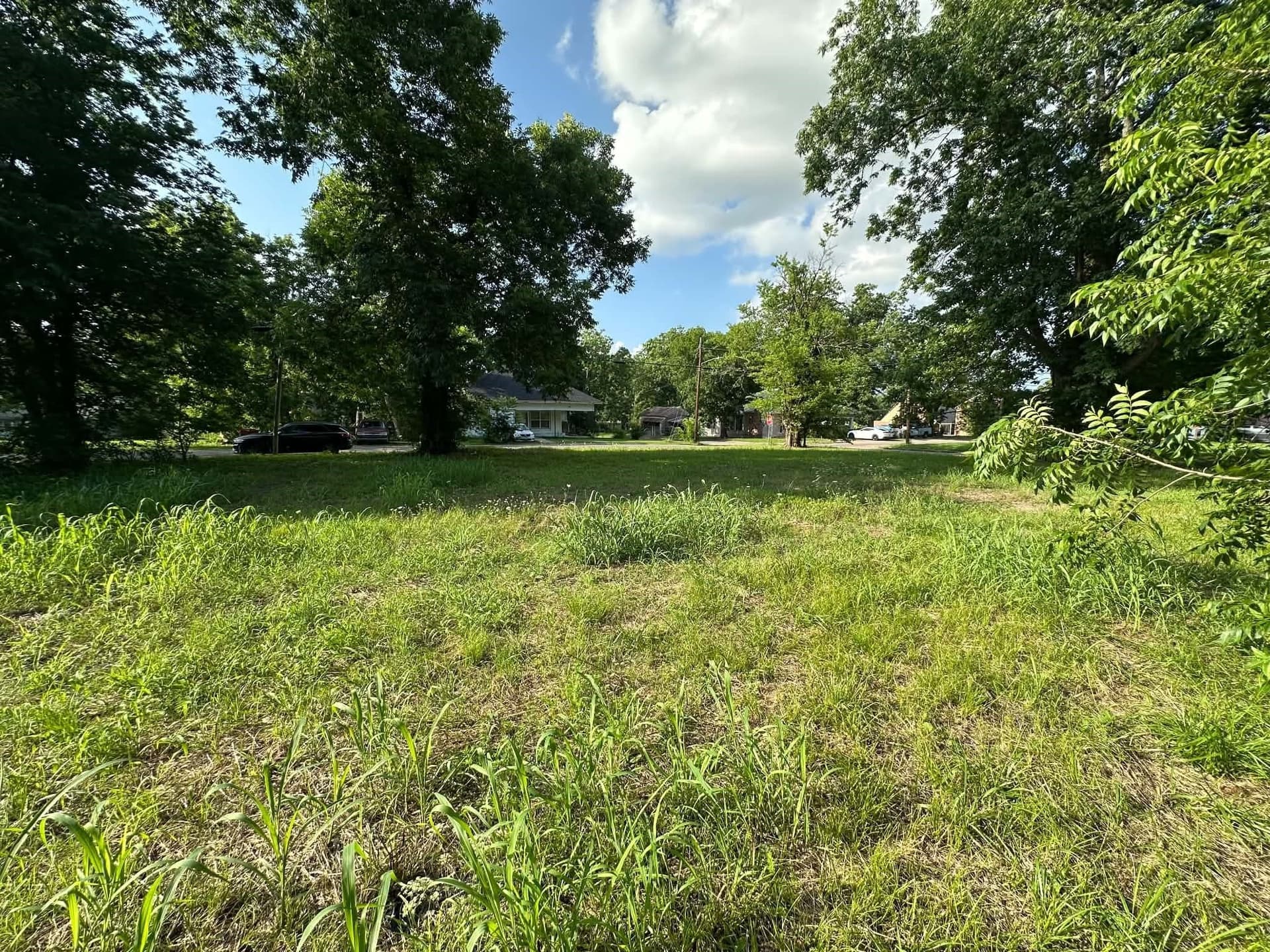 0.23 acres in Red River (TX) County gallery image 3