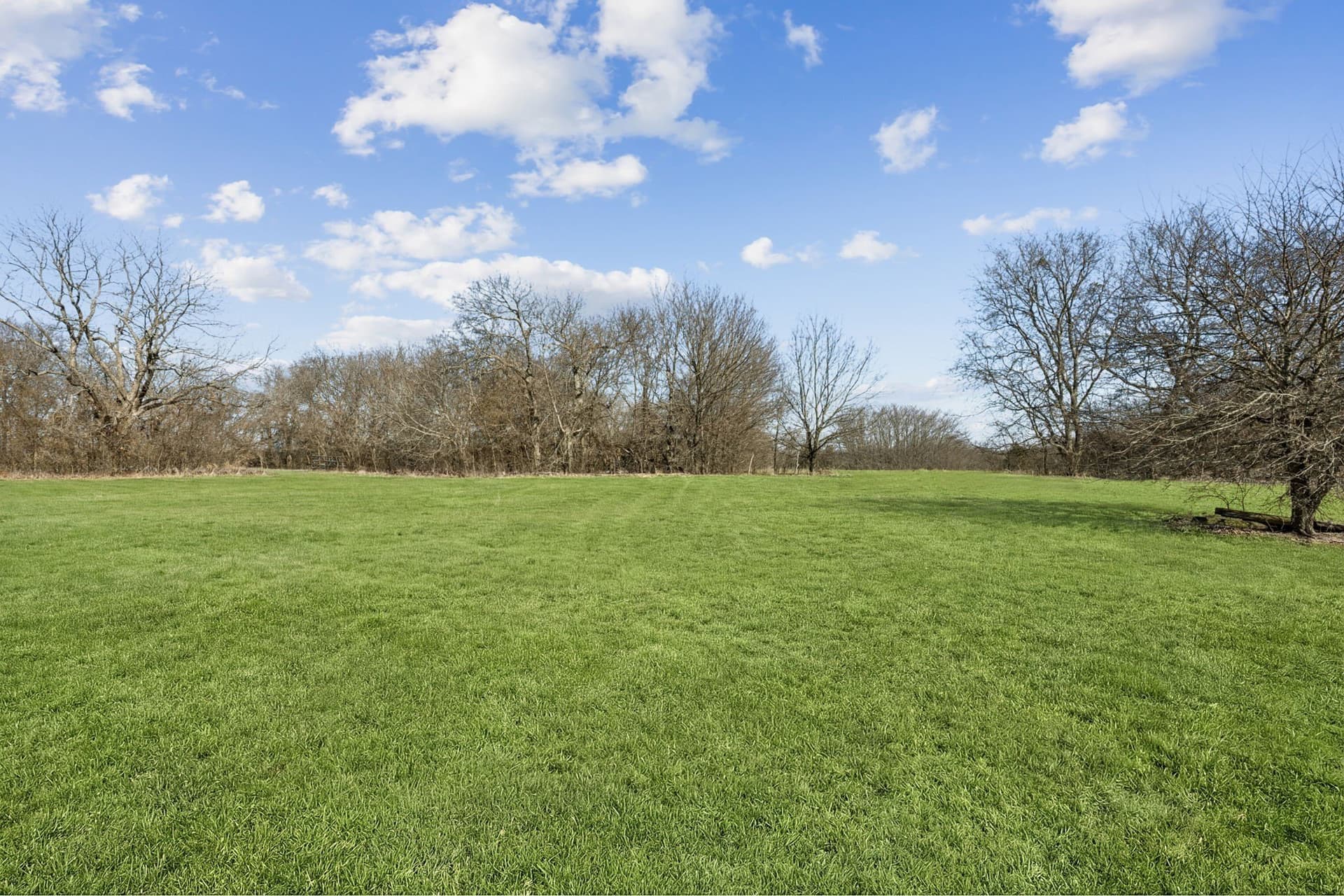 15 acres in Grayson County - photo 10