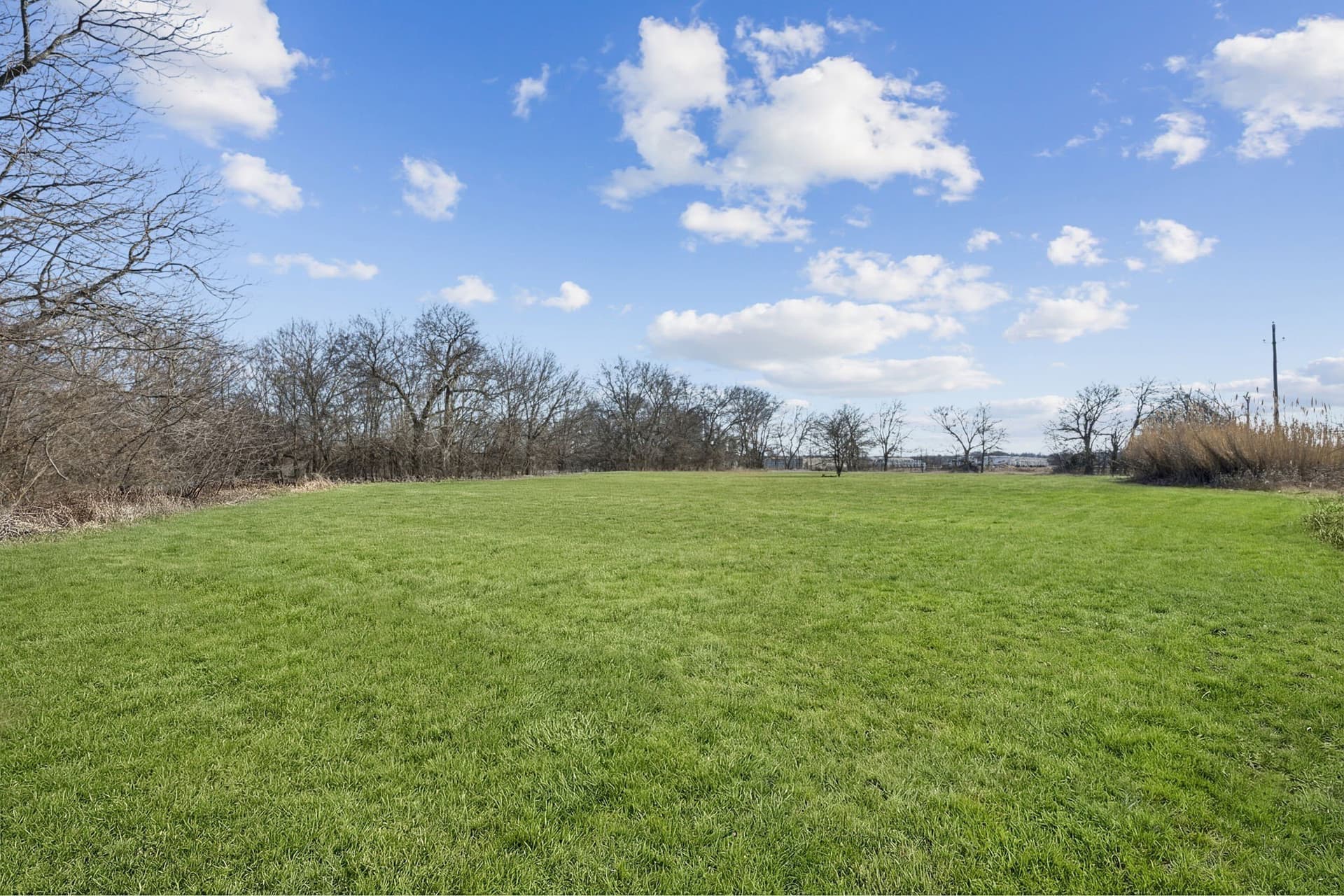 15 acres in Grayson County - photo 9