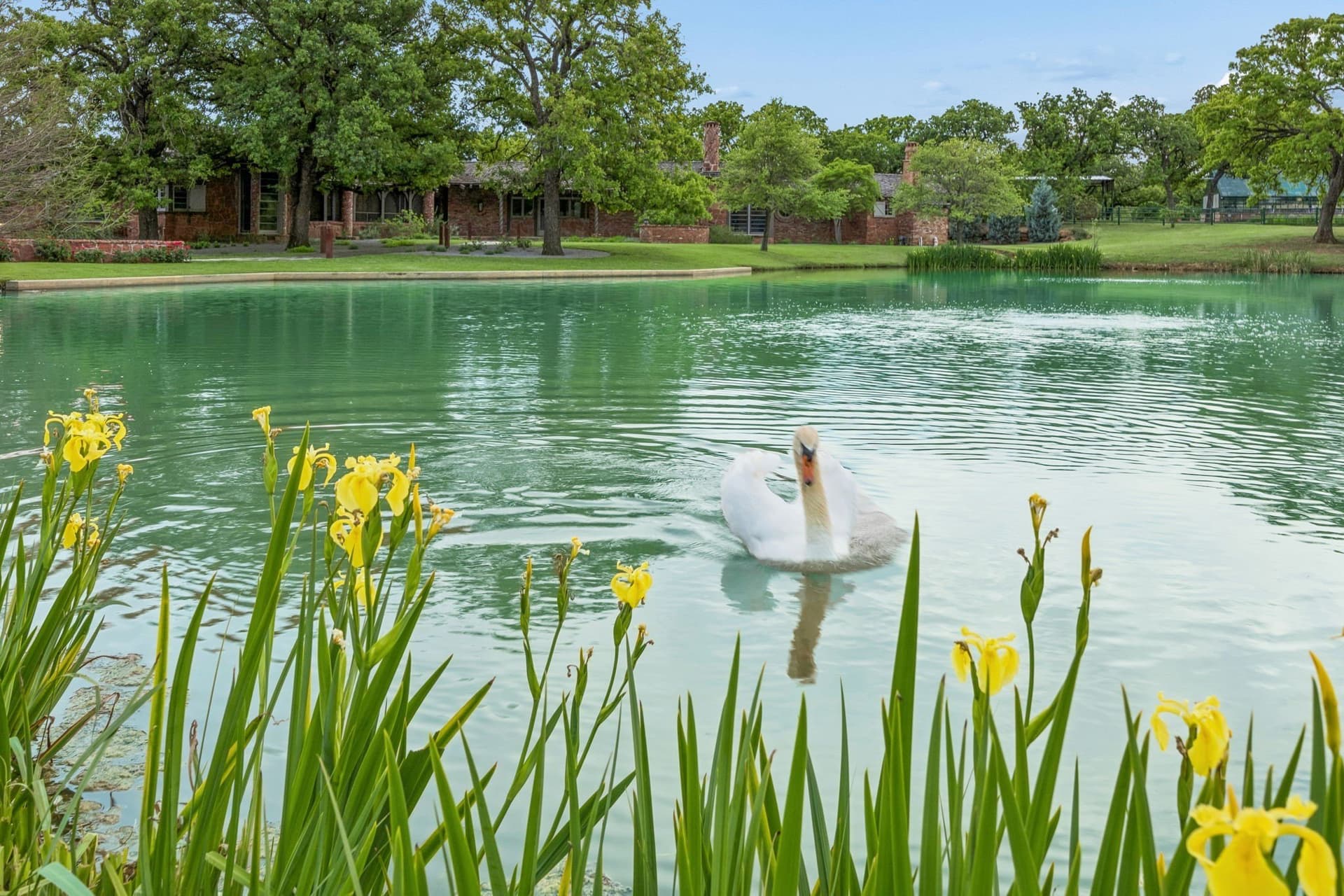 16.5 acres in Tarrant County - photo 37