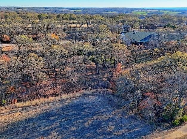 0.27 acres in Montague County gallery image 4