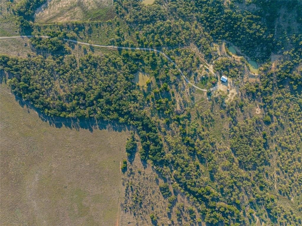 62.42 acres in Stephens County gallery image 4