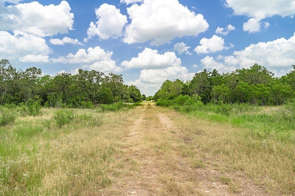 43.26 acres in Fayette County gallery image 4