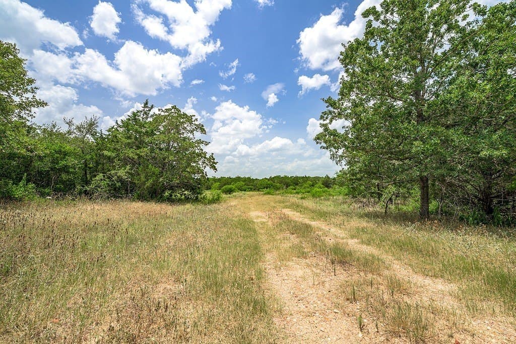 43.26 acres in Fayette County - photo 7