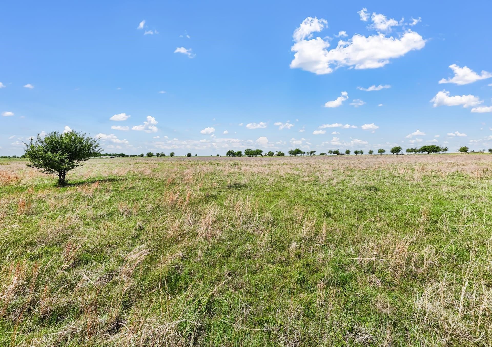 20.88 acres in Tarrant County - photo 8
