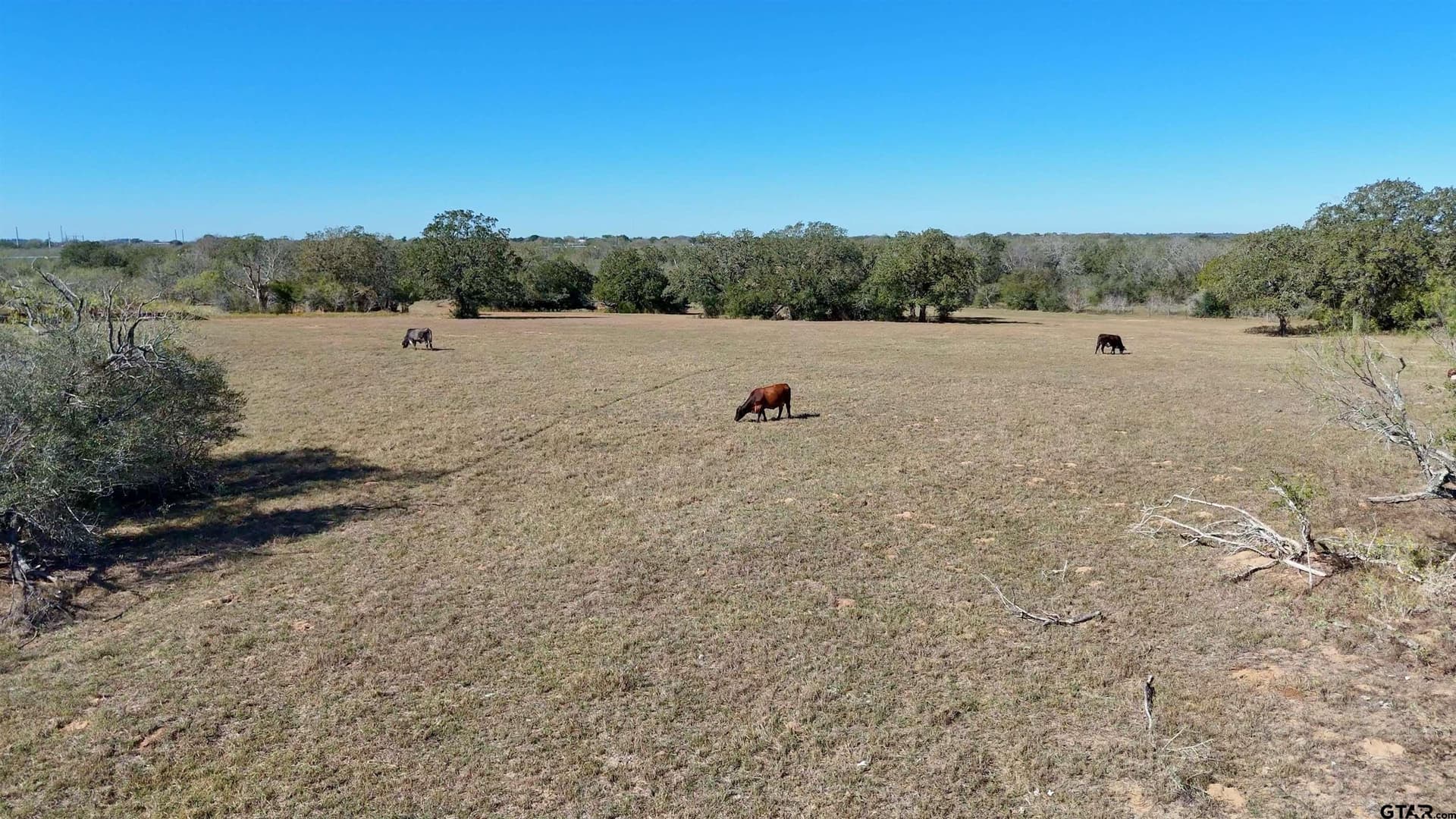 668 acres in Gonzales County - photo 7
