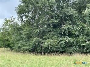 21.71 acres in Jackson County gallery image 3