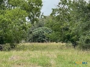 21.71 acres in Jackson County gallery image 4