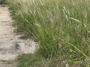 21.71 acres in Jackson County - photo 7