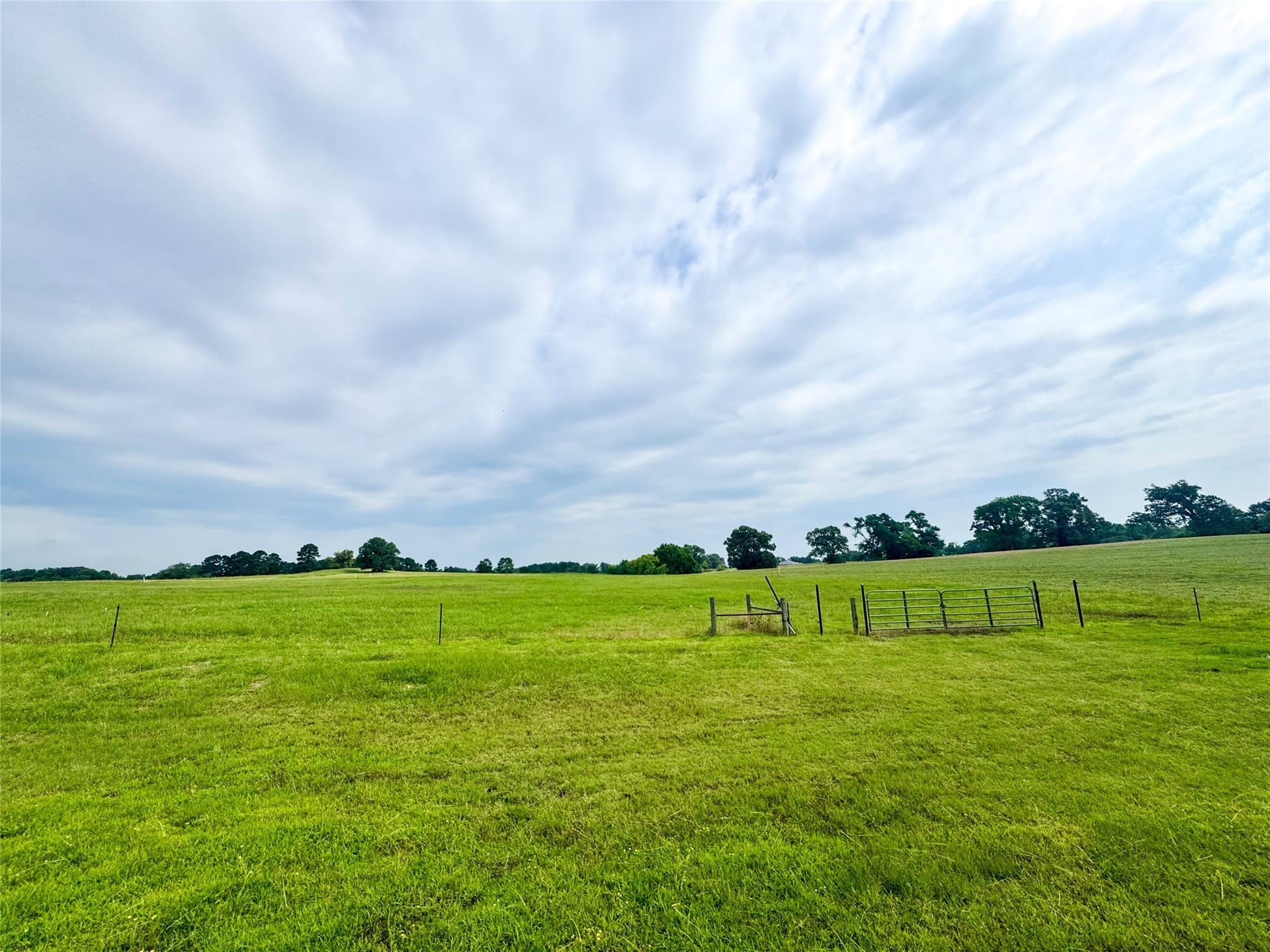 2.24 acres in Camp County - photo 6