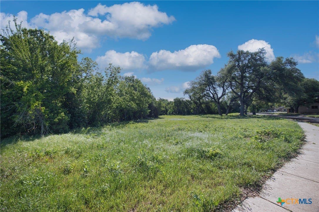0.52 acres in Williamson County gallery image 2