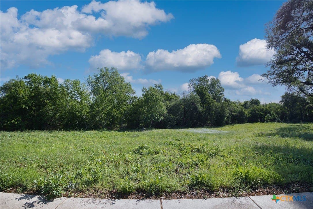 0.52 acres in Williamson County - photo 7