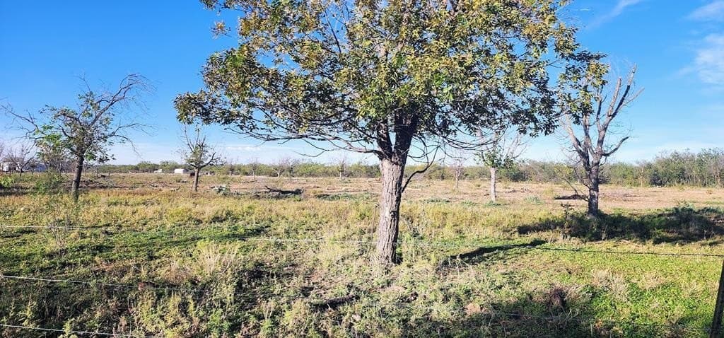 3 acres in Irion County