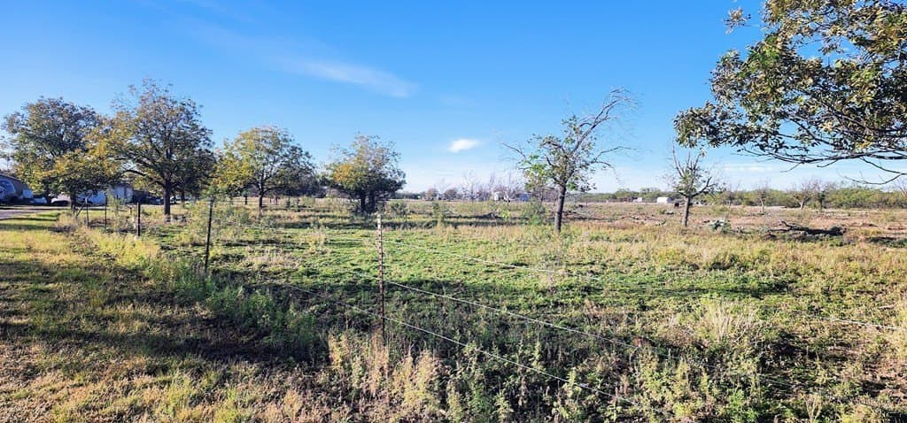 3 acres in Irion County - photo 6