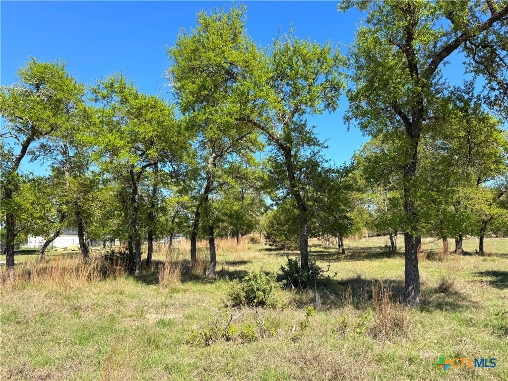 0.53 acres in Comal County gallery image 2