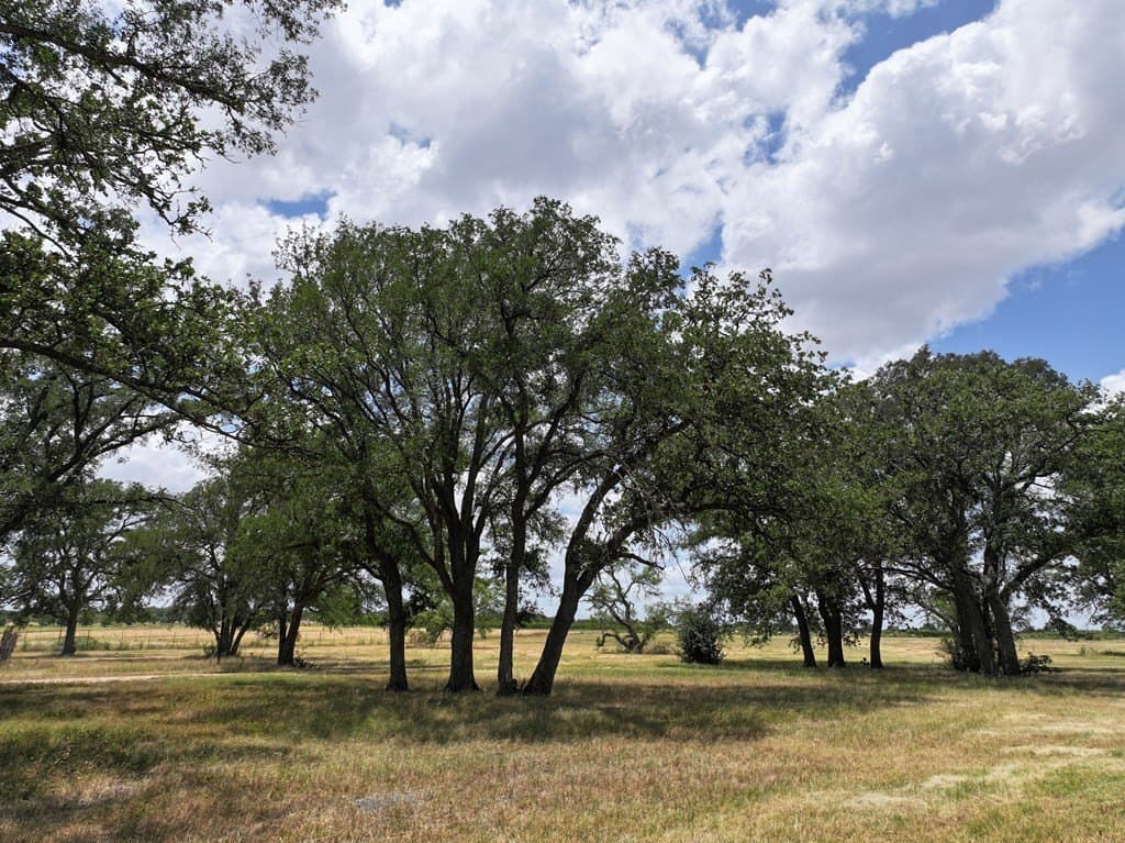 15.29 acres in Gillespie County - photo 10