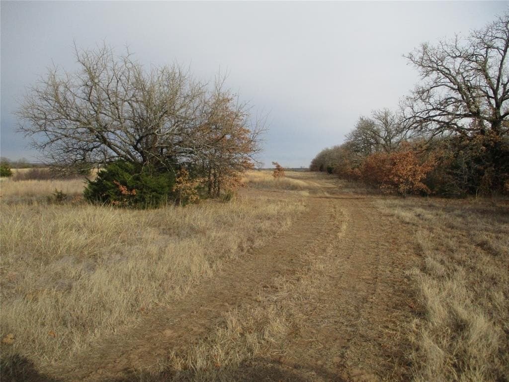 33 acres in Montague County gallery image 2