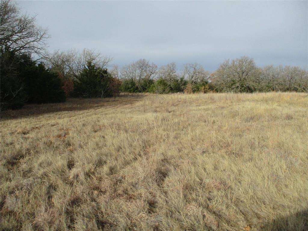 33 acres in Montague County gallery image 4