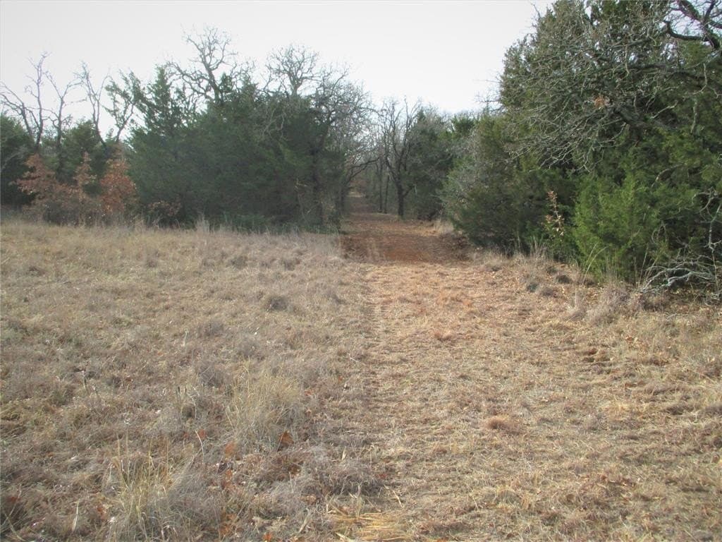 33 acres in Montague County featured view