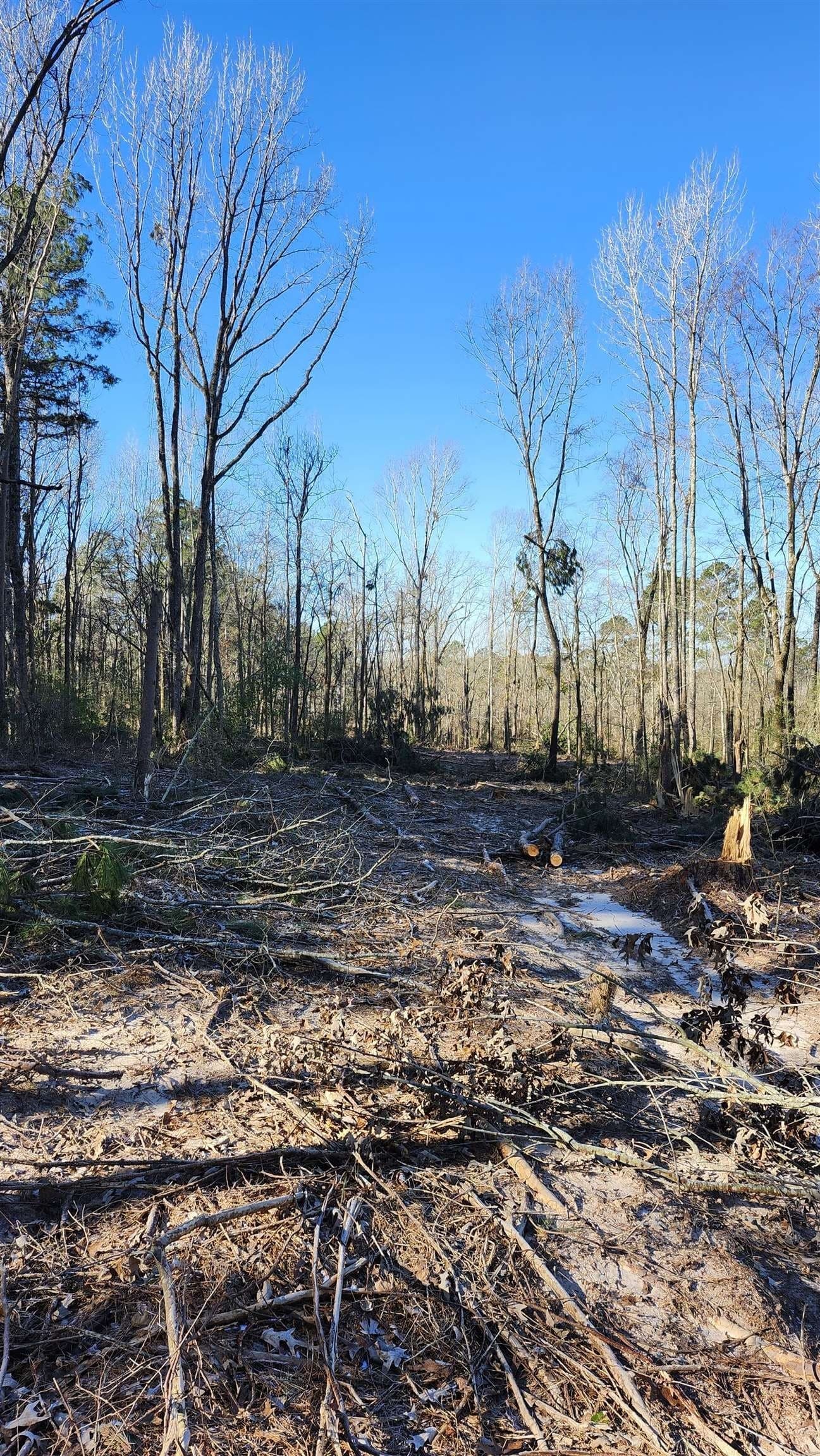 5.3 acres in Panola County - photo 11