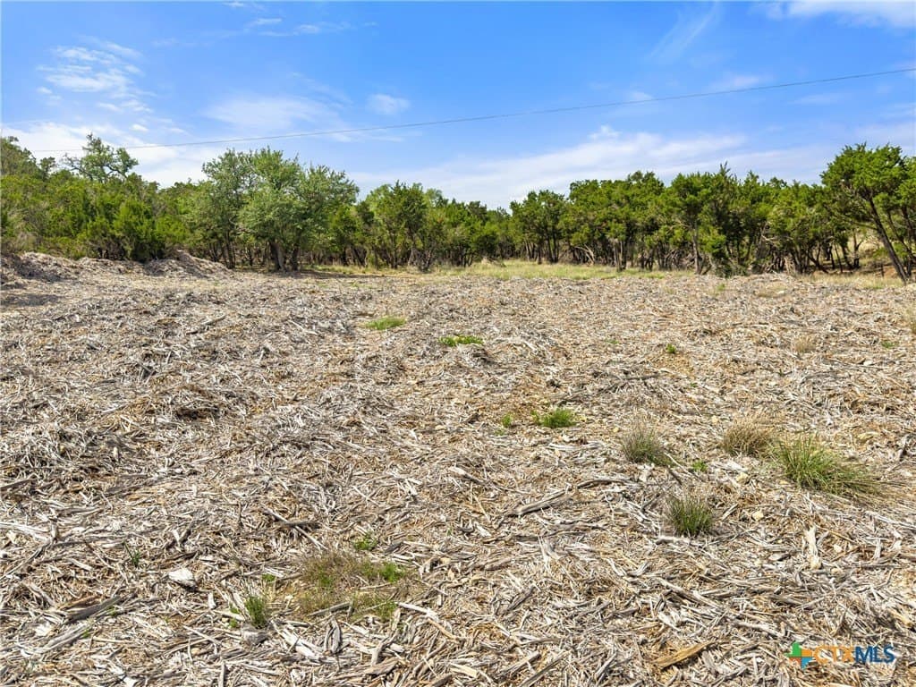 5.11 acres in Blanco County - photo 6