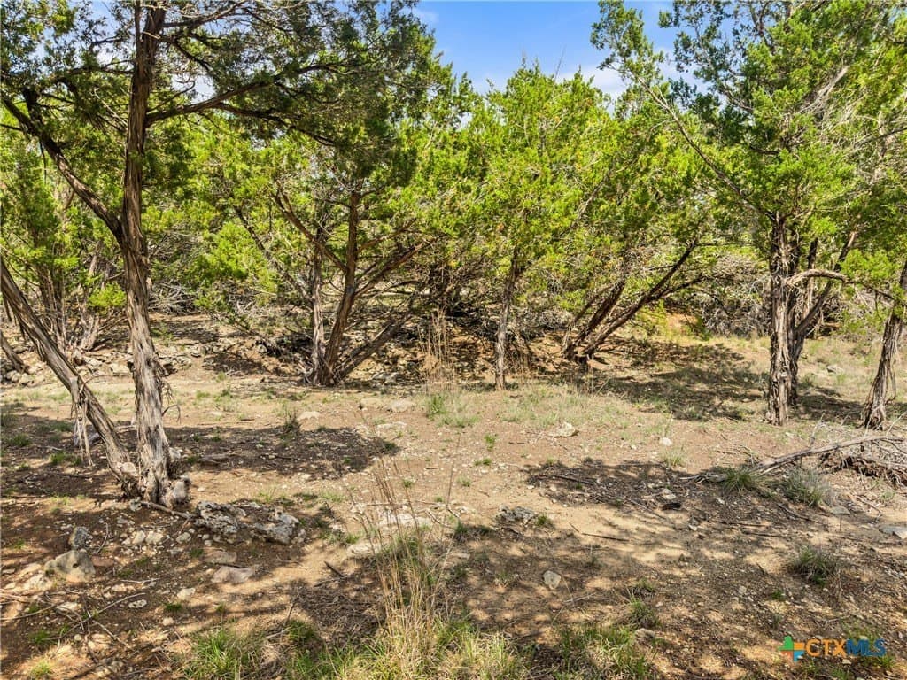 5.11 acres in Blanco County - photo 15