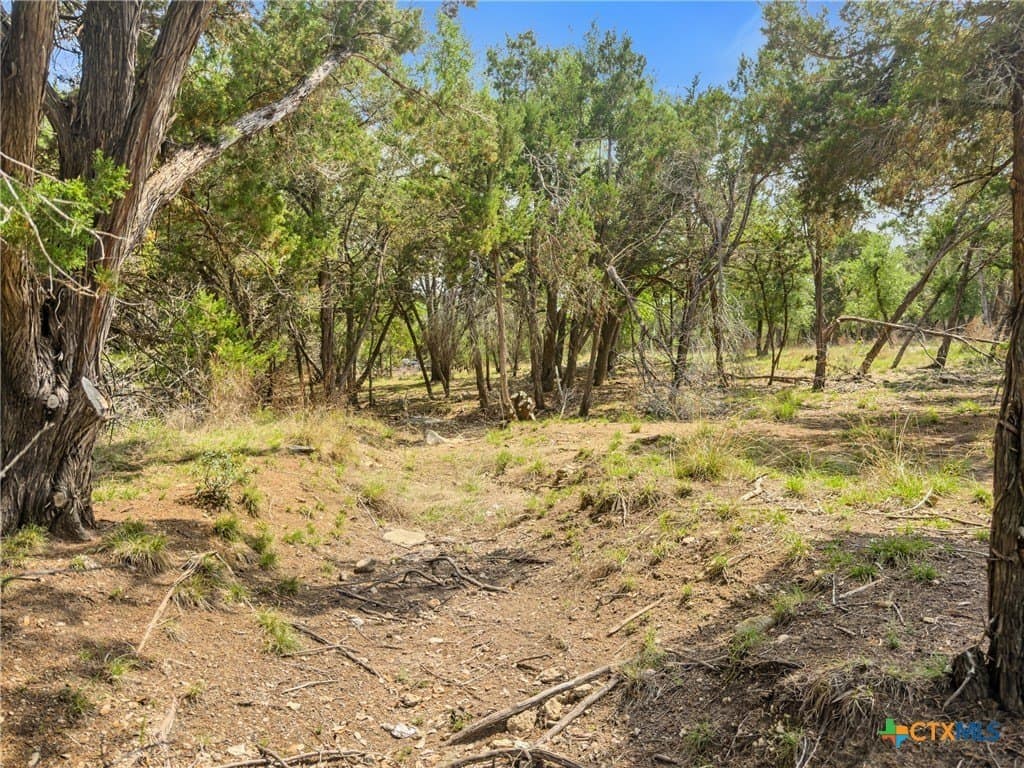 5.11 acres in Blanco County - photo 19