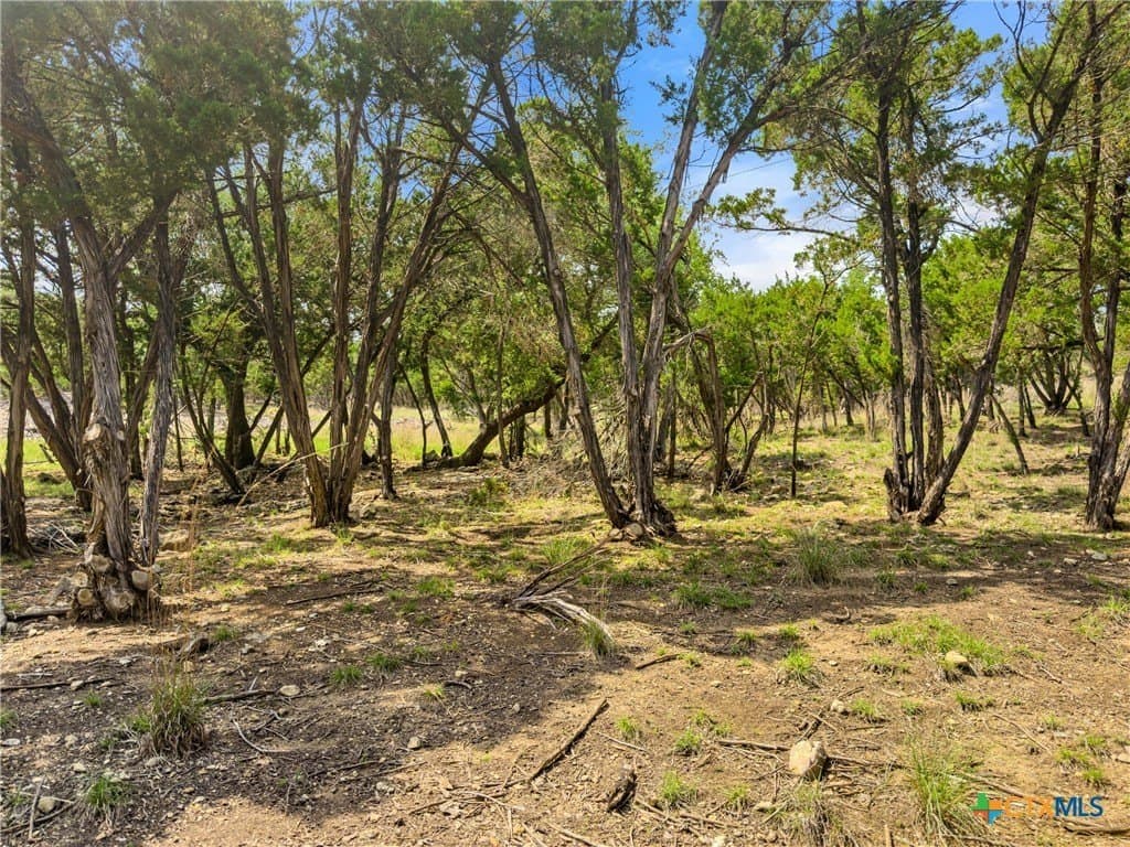 5.11 acres in Blanco County - photo 17