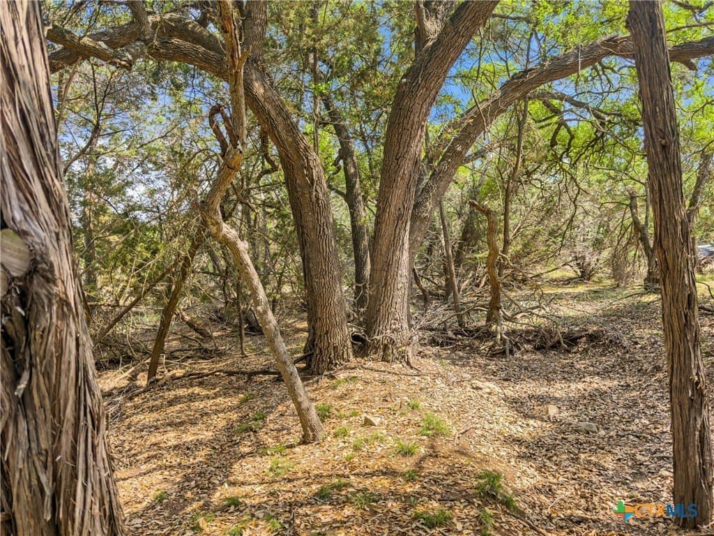5.11 acres in Blanco County - photo 22