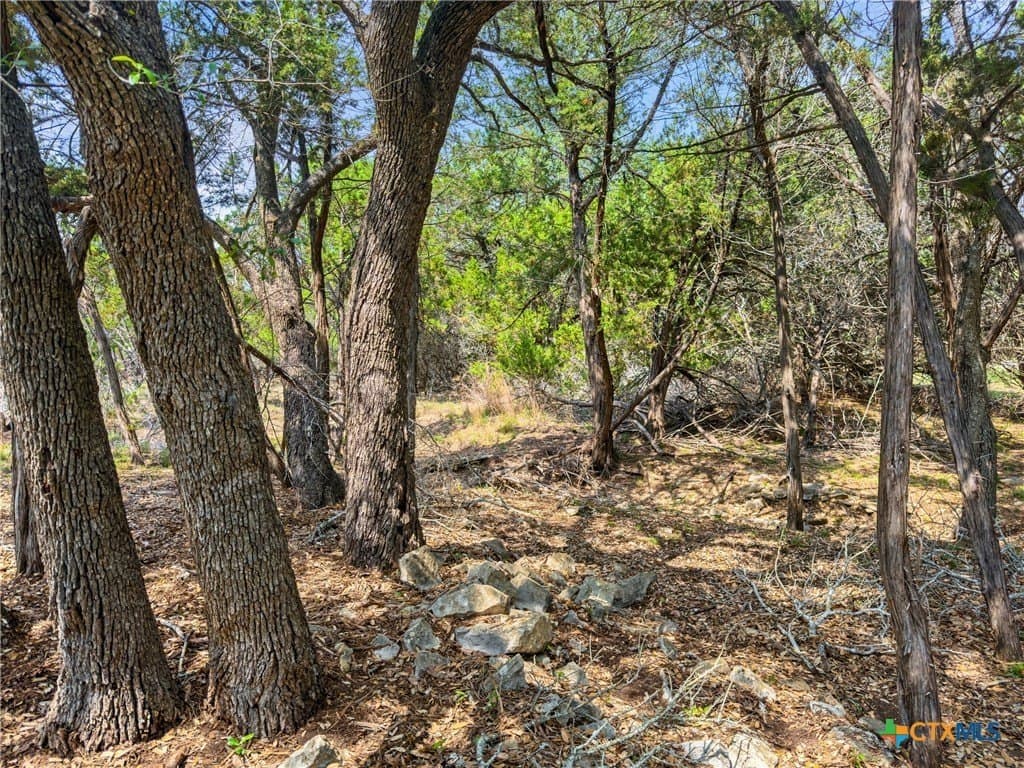 5.11 acres in Blanco County gallery image 2