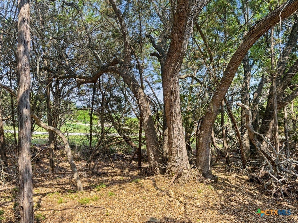 5.11 acres in Blanco County - photo 8