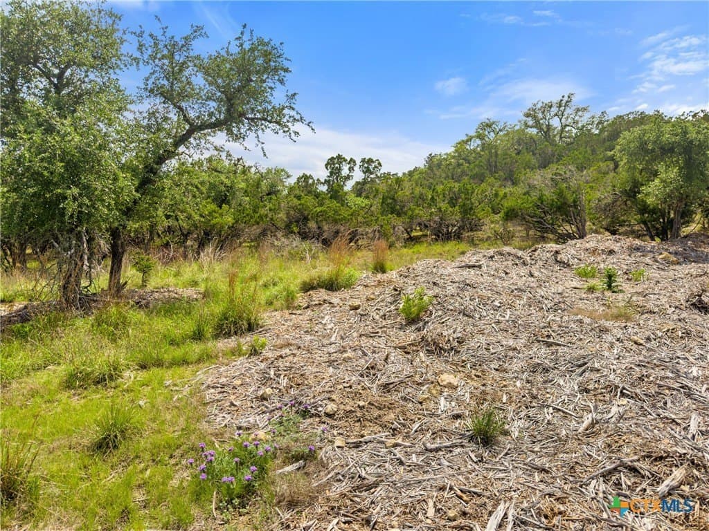 5.11 acres in Blanco County - photo 12