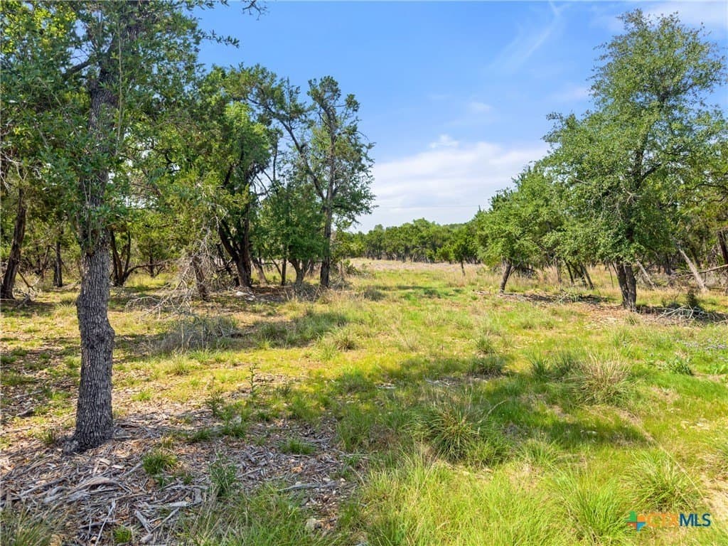 5.11 acres in Blanco County gallery image 4