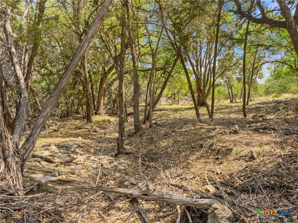 5.11 acres in Blanco County - photo 21