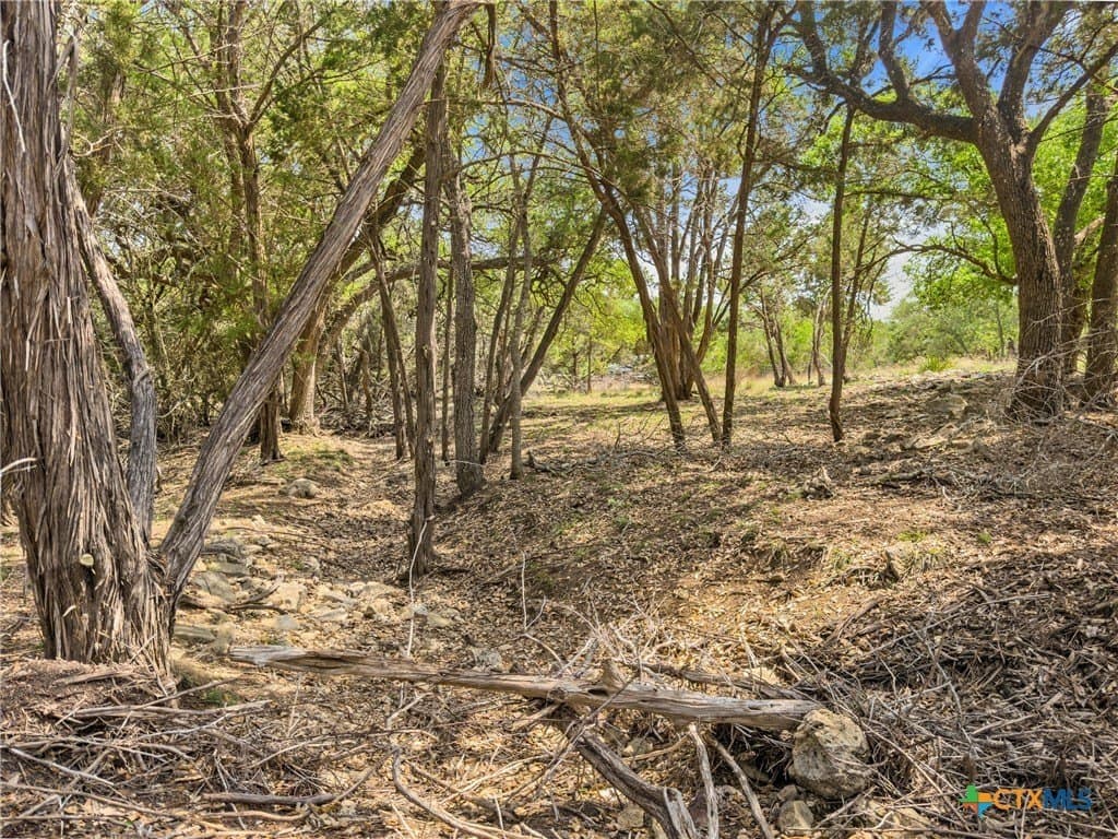 5.11 acres in Blanco County - photo 20